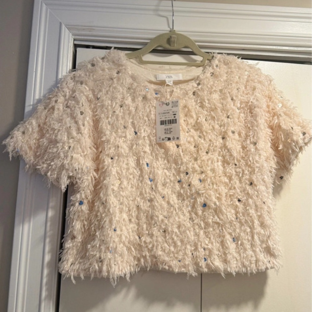 Zara Ivory Sequin Fuzzy Short Sleeve Top